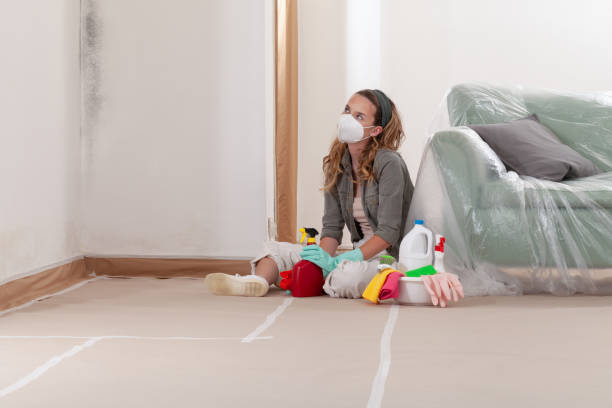 Reliable Bathroom Mold Removal contractor in Anoka, MN by Mold Remediation HQ